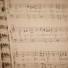 quartetto pegaso-33